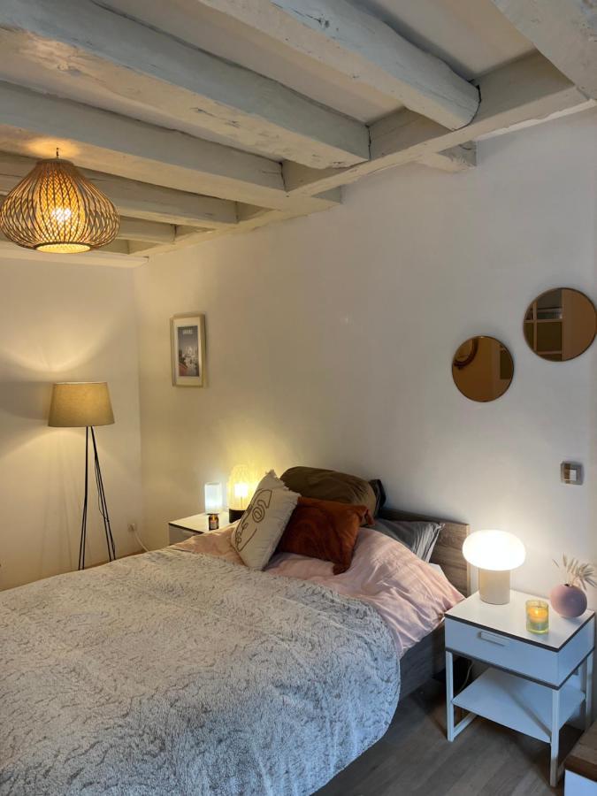 Appartamento Good Vibes Grenoble Esterno foto